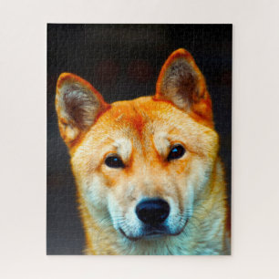 Quebra-cabeça cão de Jindo do coreano