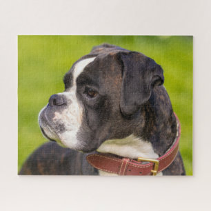 Quebra-cabeça Cão-de-papoila-de-bico