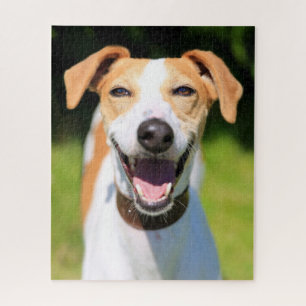 Quebra-cabeça Cão de riso das imagens de Getty