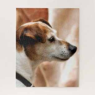 QUEBRA-CABEÇA CÃO DE RUSSELL TERRIER DO JAQUE