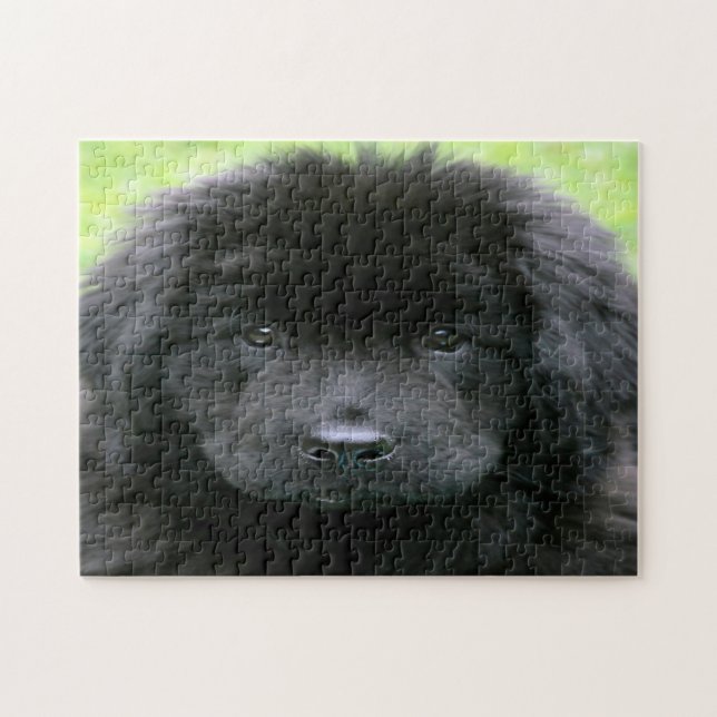 Quebra-cabeça Cão de Terra Nova. (Horizontal)