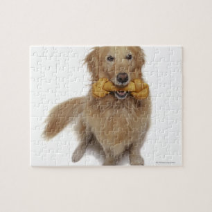 Quebra-cabeça Cão do golden retriever que guardara o osso na