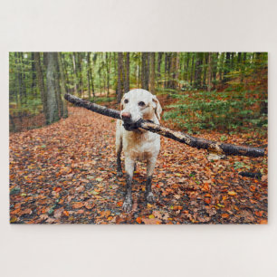 Quebra-cabeça Cão enlameado na natureza do outono
