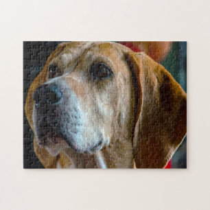 Quebra-cabeça Cão Foxhound.