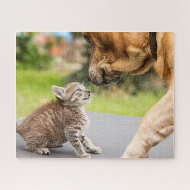 Quebra-cabeça Cão & gato das imagens | de Getty no amor (Horizontal)