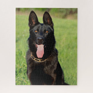 Quebra-cabeça Cão German shepherd Preto - Cãozinho GSD