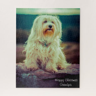 Quebra-cabeça Cão Havanês.