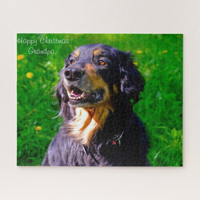 Quebra-cabeça Cão Hovawart. (Horizontal)