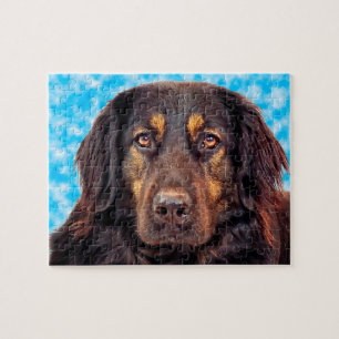 Quebra-cabeça Cão Hovawart preto.