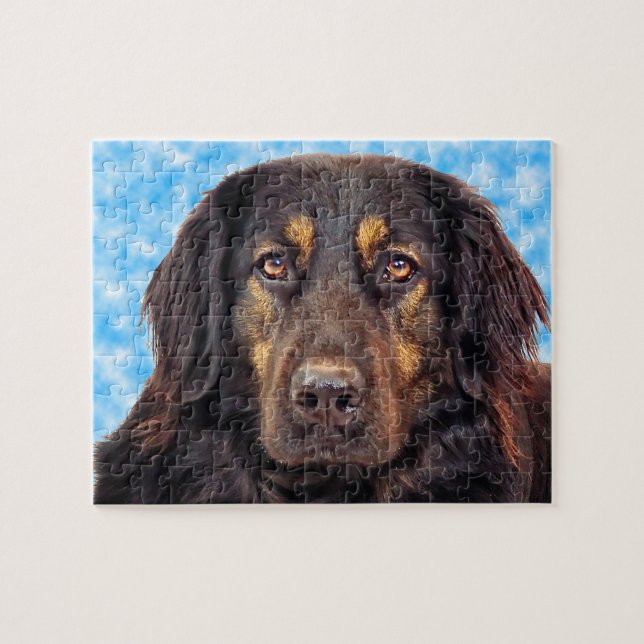 Quebra-cabeça Cão Hovawart preto. (Horizontal)