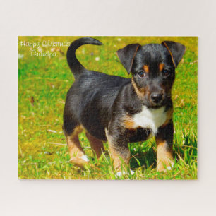Quebra-cabeça Cão Jack Russell.