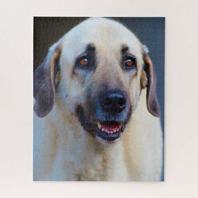 Quebra-cabeça Cão Kangal. (Vertical)