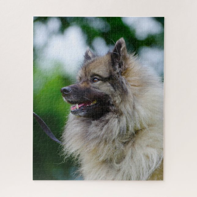 Quebra-cabeça Cão Keeshond. (Vertical)