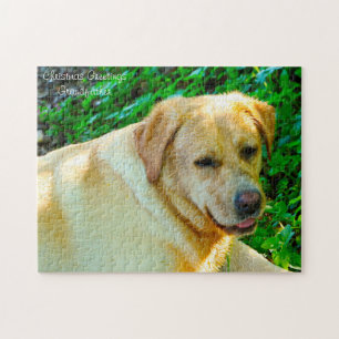 Quebra-cabeça Cão Labrador.