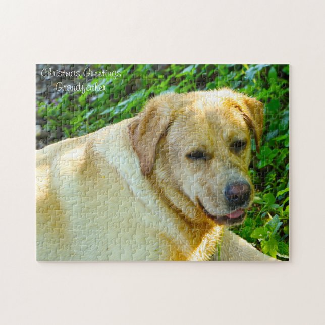 Quebra-cabeça Cão Labrador. (Horizontal)