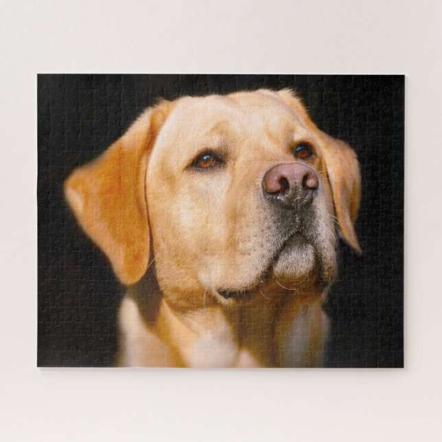 Quebra-cabeça Cão Labrador. (Horizontal)
