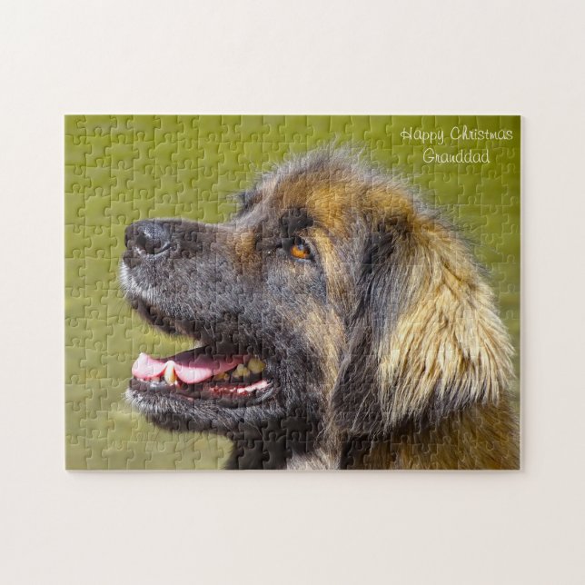 Quebra-cabeça Cão Leonberger. (Horizontal)