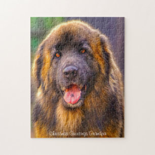 Quebra-cabeça Cão Leonberger.