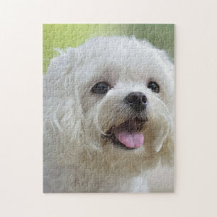Quebra-cabeça Cão maltês branco