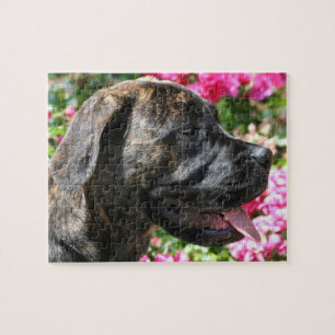 Quebra-cabeça Cão Mastiff do Brindle