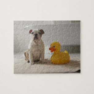 Quebra-cabeça Cão na esteira com pato plástico