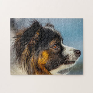 Quebra-cabeça Cão Papillon