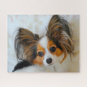 Quebra-cabeça Cão Papillon.