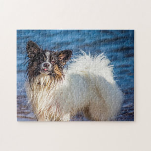 Quebra-cabeça Cão Papillon.