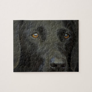 Quebra-cabeça Cão preto de Labrador