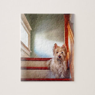 Quebra-cabeça Cão que senta-se nas escadas, olhar de Westie do