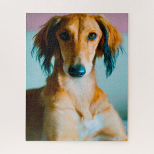Quebra-cabeça Cão Sabujo Persa.