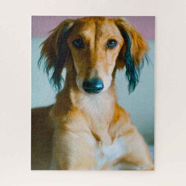 Quebra-cabeça Cão Sabujo Persa. (Vertical)