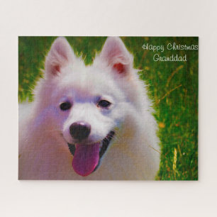 Quebra-cabeça Cão Spitz Japonês.