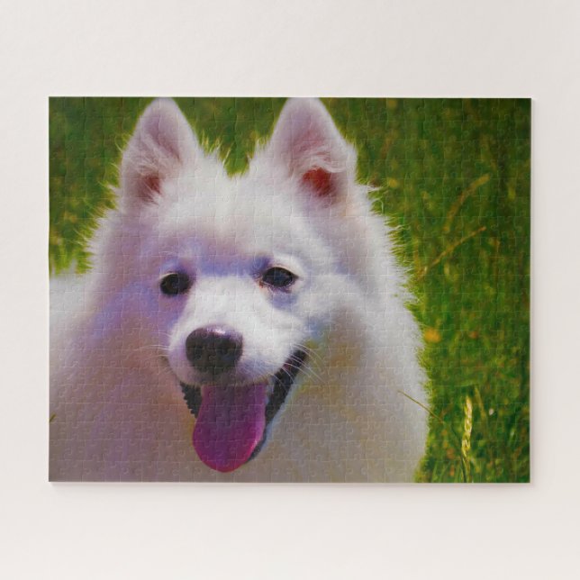 Quebra-cabeça Cão Spitz Japonês. (Horizontal)