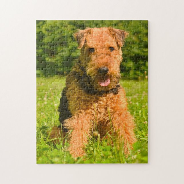 Quebra-cabeça Cão Terrier Airedale. (Vertical)