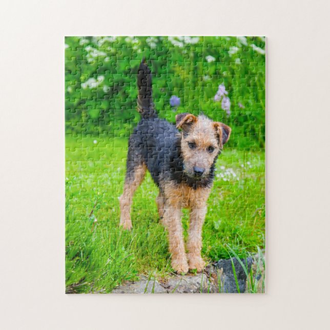Quebra-cabeça Cão Terrier Lakeland. (Vertical)