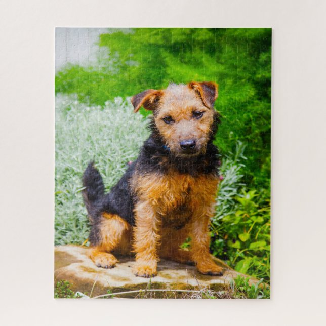 Quebra-cabeça Cão Terrier Lakeland. (Vertical)