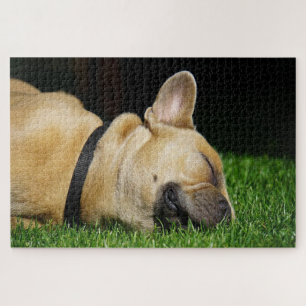 Quebra-cabeça Cão-touro francês que dorme