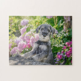 Quebra-cabeça Cãozinho Schnauzer padrão num jardim com flores