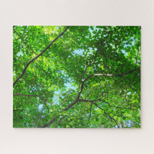 Quebra-cabeça Capa de Ramificações Verdes e Folhosas com Céu Azu