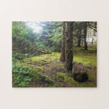 Cape Disappointment Camp Pacific Northwest Forest