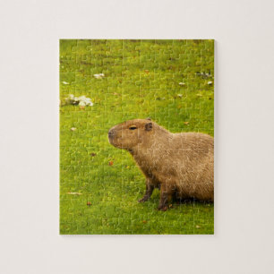 Quebra-cabeça Capivara