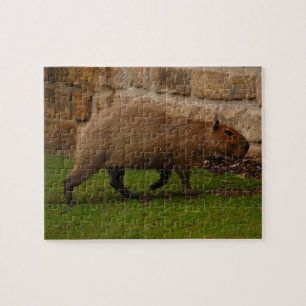 Quebra-cabeça capivara