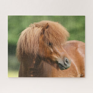 Quebra-cabeça Captura de cabeça de Chestnut Shetland Pony Stall