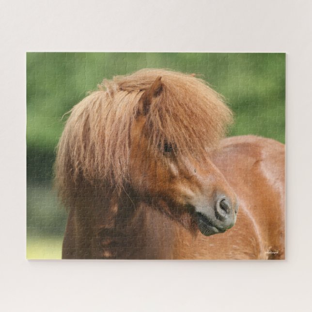 Quebra-cabeça Captura de cabeça de Chestnut Shetland Pony Stalli (Horizontal)