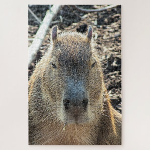 QUEBRA-CABEÇA CAPYBARA WILD