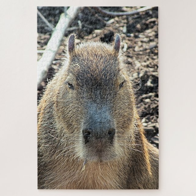 QUEBRA-CABEÇA CAPYBARA WILD (Vertical)