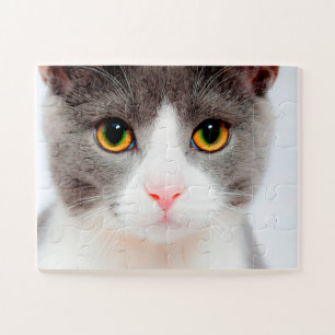 Quebra-cabeça Cara de Gato Branco, Gato Fácil