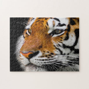 Quebra-cabeça Cara de tigre grave