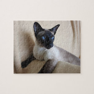 Quebra-cabeça Cara lindo do gato Siamese